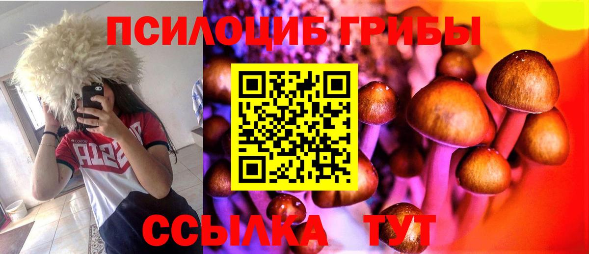 Грозный  Псилоцибиновые грибы Cubensis  Вход с VPN  Псилоцибиновые грибы ЛСД 
